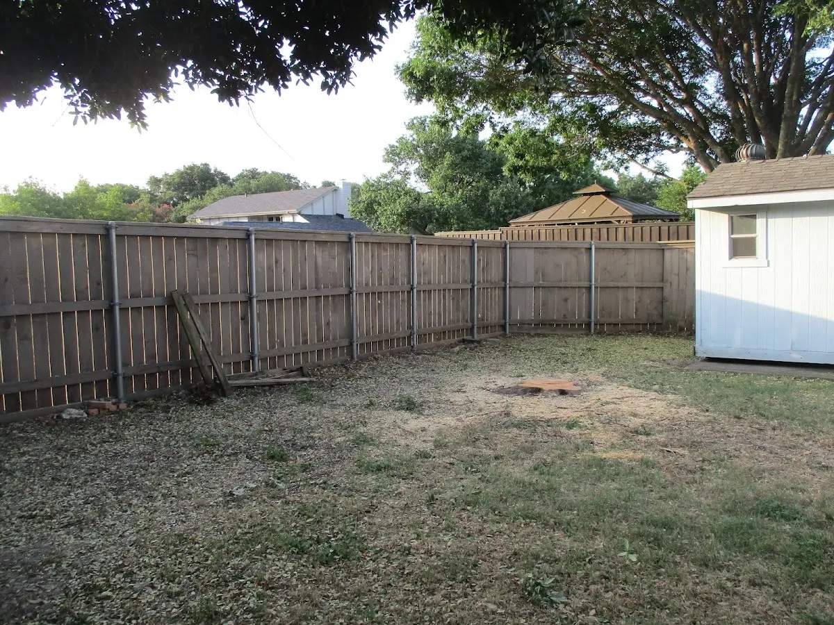 Cleared yard after professional tree removal in Freehold